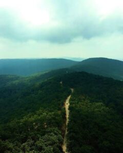 सुप्रीम कोर्ट ने SAIL की माइनिंग पर भी लगाई रोक: झारखंड के जंगलों के लिए राहत